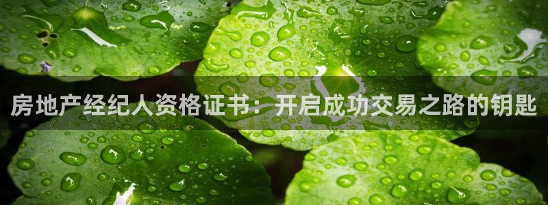 有人知道新宝5么：房地产经纪人资格证书：开启成功交易之路的钥