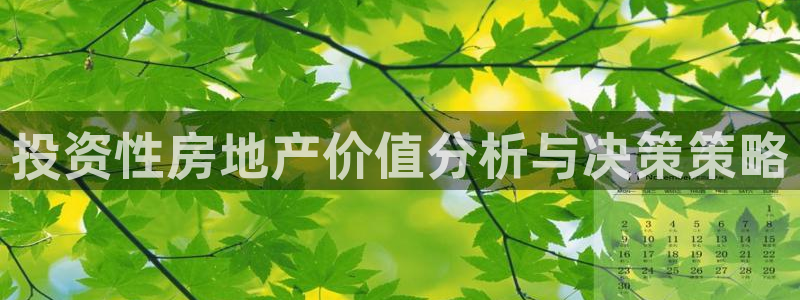 新宝新5：投资性房地产价值分析与决策策略