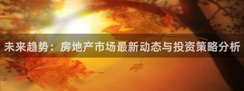 新宝m2O5O5O：未来趋势：房地产市场最新动态与投资策略分