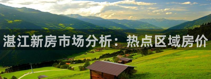 新宝5官方登录入口：湛江新房市场分析：热点区域房价