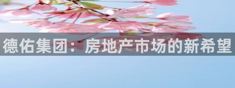 新宝5日谢29999：德佑集团：房地产市场的新希望