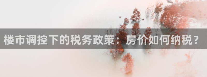 新宝5安卓版：楼市调控下的税务政策：房价如何纳税？