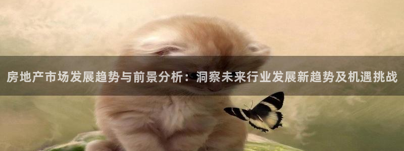 新宝5测登录：房地产市场发展趋势与前景分析：洞察未来行业发展