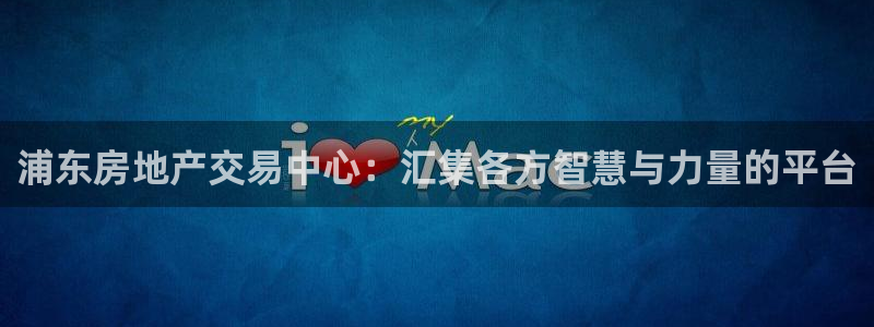 新宝6霸哥5：浦东房地产交易中心：汇集各方智慧与力量的平台