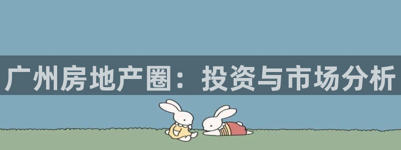 新宝5的网址：广州房地产圈：投资与市场分析