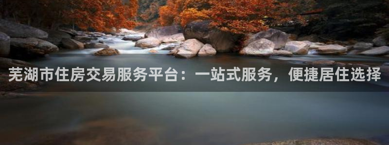 新宝集团新宝5：芜湖市住房交易服务平台：一站式服务，便捷居住
