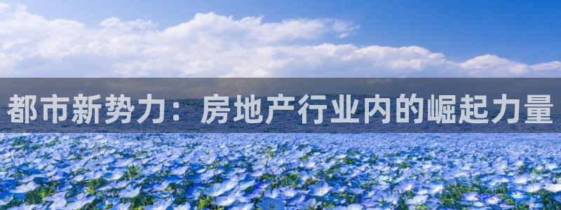 新宝5上来77542：都市新势力：房地产行业内的崛起力量