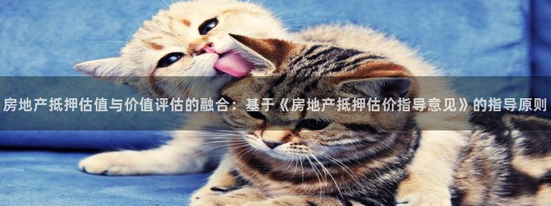 新宝5骗术：房地产抵押估值与价值评估的融合：基于《房地产抵押