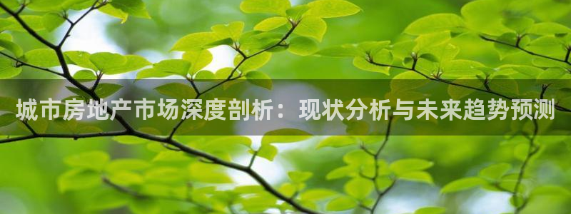 新宝5线路：城市房地产市场深度剖析：现状分析与未来趋势预测