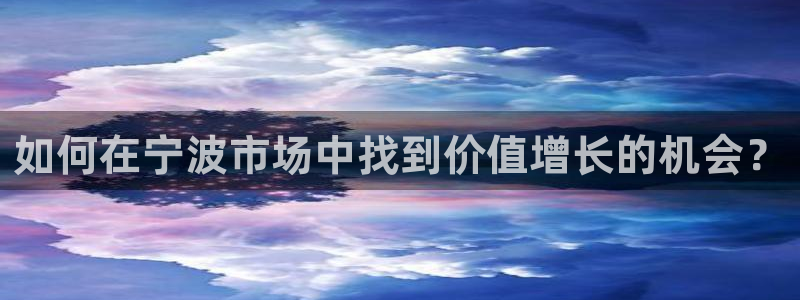 新宝5彩票平台登陆：如何在宁波市场中找到价值增长的机会？