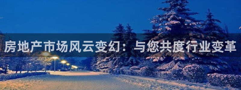 新宝集团新宝5：房地产市场风云变幻：与您共度行业变革