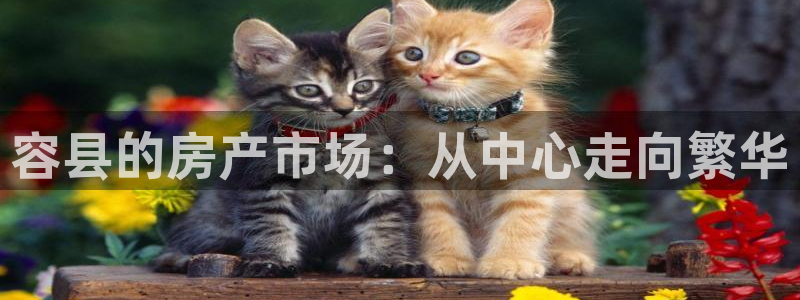 新宝5 888：容县的房产市场：从中心走向繁华