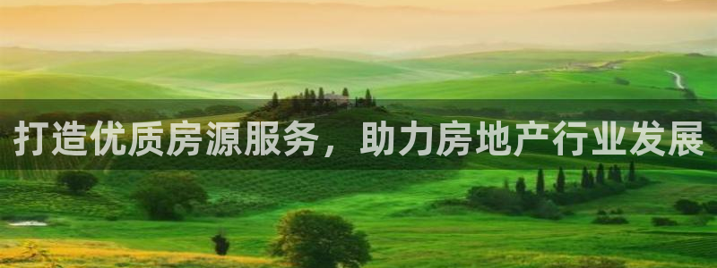 新宝6霸哥5：打造优质房源服务，助力房地产行业发展