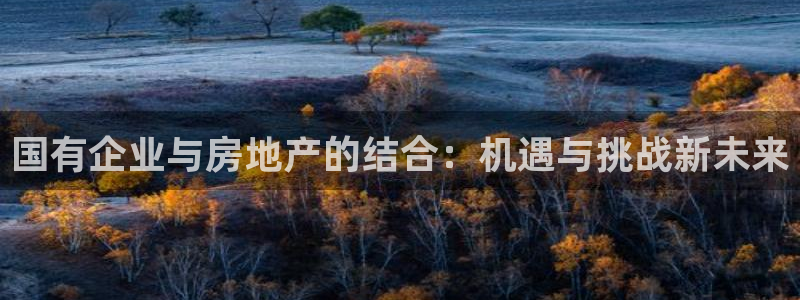 新宝5平台注册资金：国有企业与房地产的结合：机遇与挑战新未来