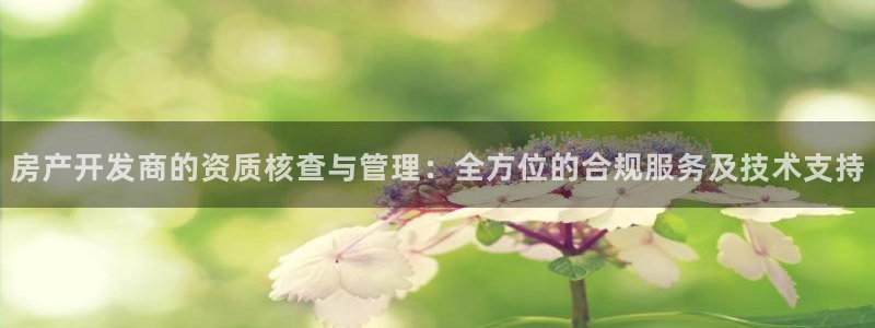 菲律宾新宝5老板：房产开发商的资质核查与管理：全方位的合规服