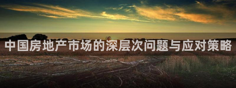 新宝5测速平台登录：中国房地产市场的深层次问题与应对策略