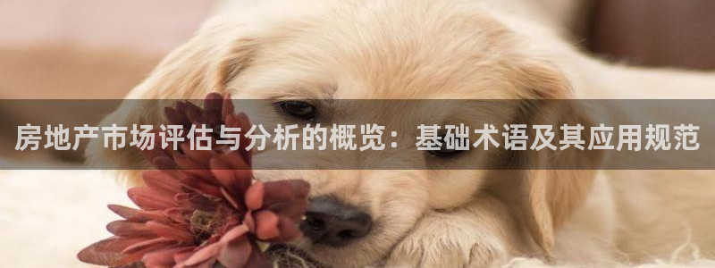 新宝5是谁的：房地产市场评估与分析的概览：基础术语及其应用规