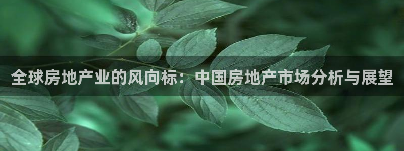 新宝5手机版登录：全球房地产业的风向标：中国房地产市场分析与