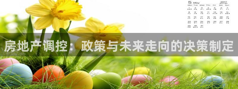 新宝5测速：房地产调控：政策与未来走向的决策制定