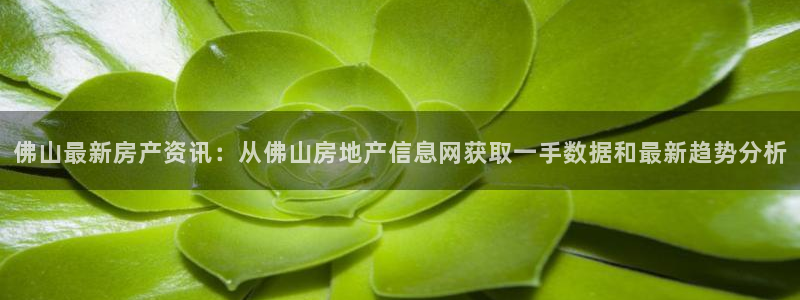 新宝5娱乐招商：佛山最新房产资讯：从佛山房地产信息网获取一手