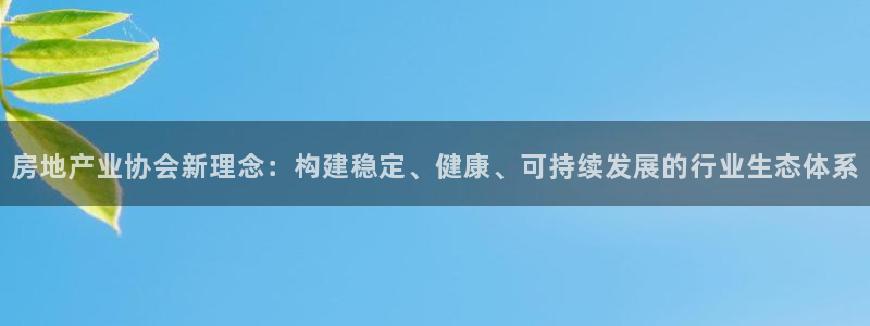 新宝5代理注册：房地产业协会新理念：构建稳定、健康、可持续发