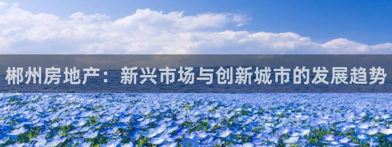 新宝5注册首页：郴州房地产：新兴市场与创新城市的发展趋势