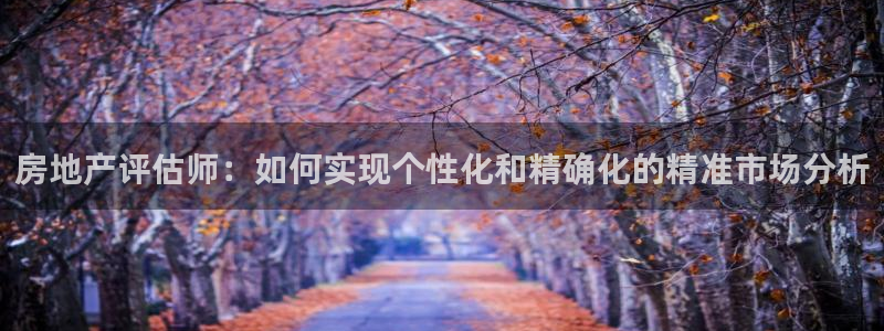 新宝5挂机软件：房地产评估师：如何实现个性化和精确化的精准市