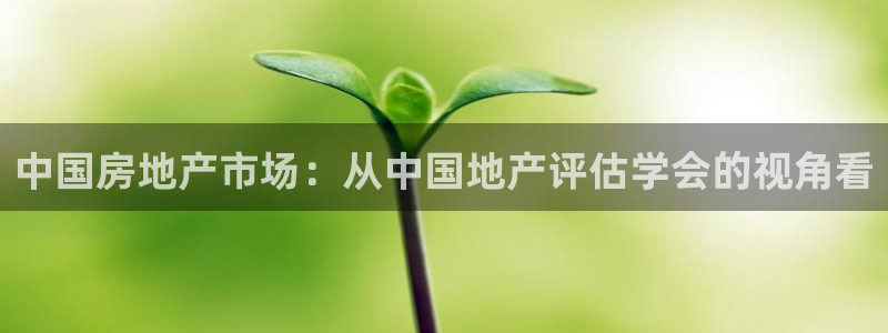 新宝5平棋牌：中国房地产市场：从中国地产评估学会的视角看