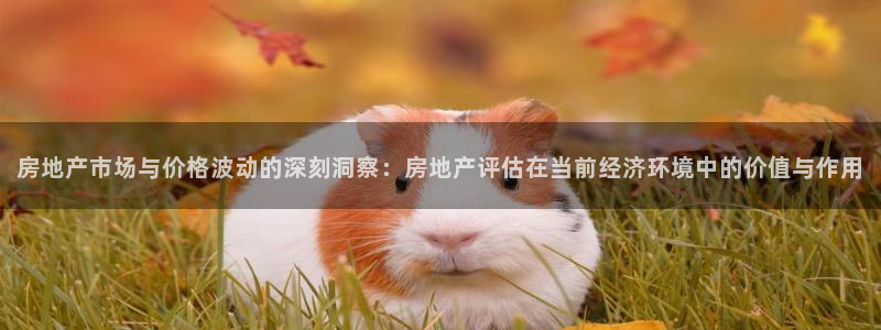 新宝5平棋牌：房地产市场与价格波动的深刻洞察：房地产评估在当