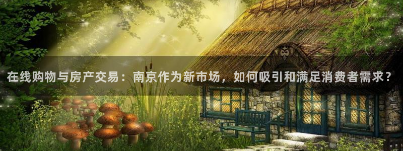 新宝5彩票平台登陆：在线购物与房产交易：南京作为新市场，如何
