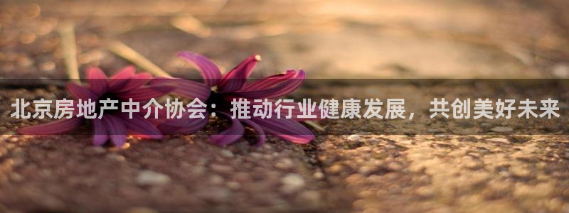 新宝股东王听2 5 5：北京房地产中介协会：推动行业健康发展
