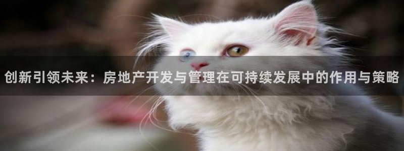 新宝5登陆地址：创新引领未来：房地产开发与管理在可持续发展中