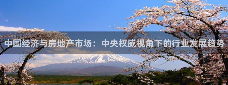 新宝6霸哥5：中国经济与房地产市场：中央权威视角下的行业发展