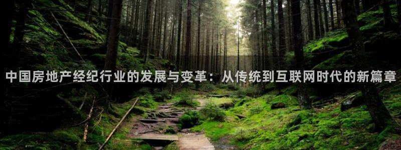 新宝5吕74OOO5：中国房地产经纪行业的发展与变革：从传统
