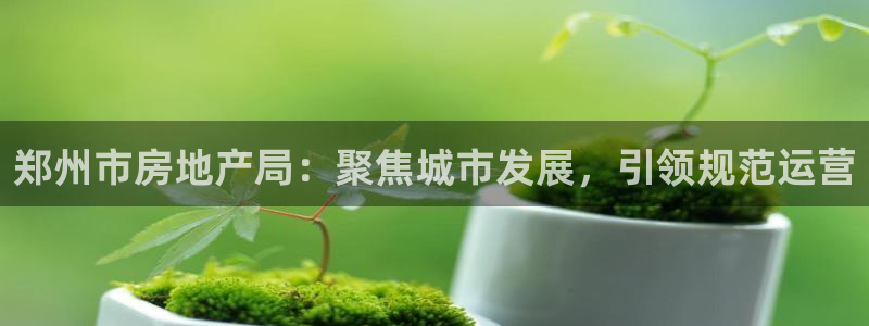 新宝5平棋牌：郑州市房地产局：聚焦城市发展，引领规范运营