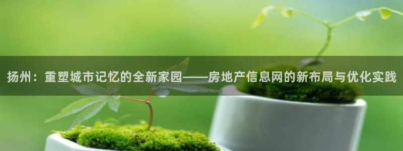 新宝5娱乐注：扬州：重塑城市记忆的全新家园——房地产信息网的