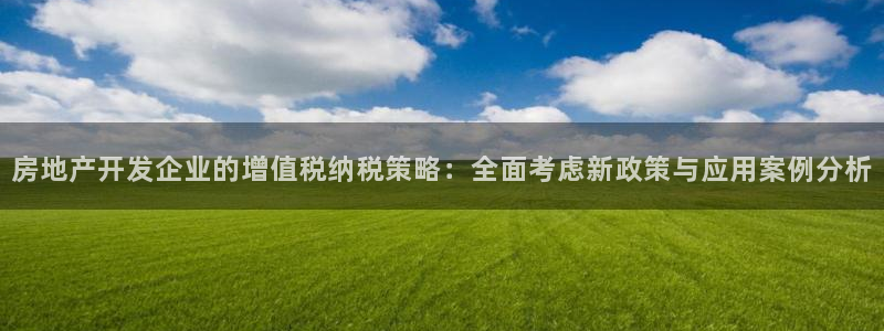 菲律宾新宝5老板：房地产开发企业的增值税纳税策略：全面考虑新