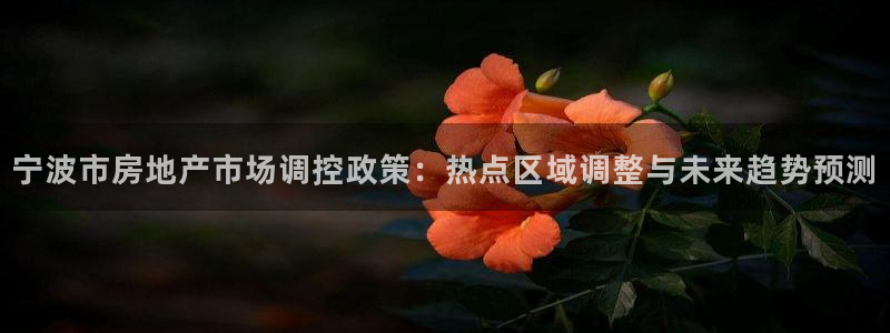 新宝5平台注册：宁波市房地产市场调控政策：热点区域调整与未来
