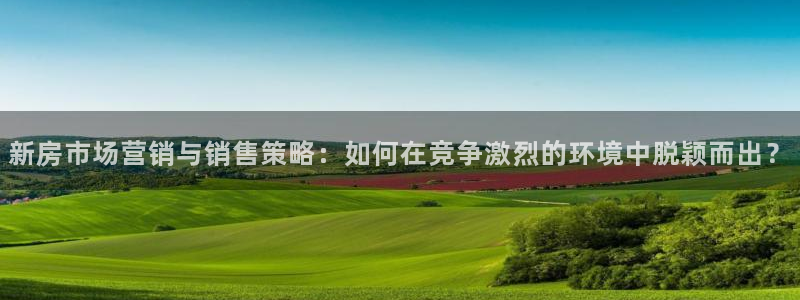 新宝5平台注册资金：新房市场营销与销售策略：如何在竞争激烈的