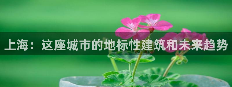 新宝5可靠吗：上海：这座城市的地标性建筑和未来趋势