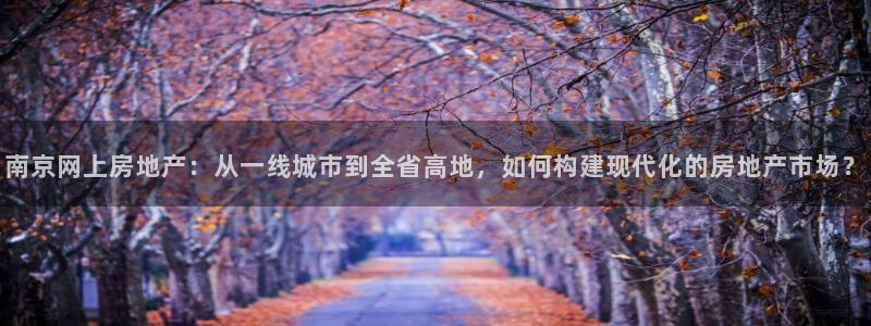 新宝5下载：南京网上房地产：从一线城市到全省高地，如何构建现