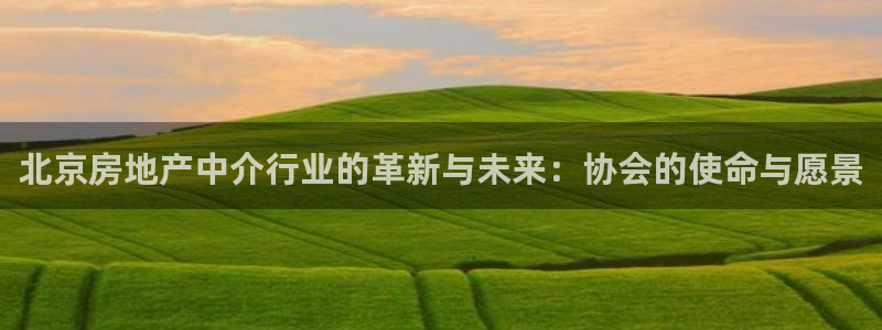 新宝5褚32OO59：北京房地产中介行业的革新与未来：协会的