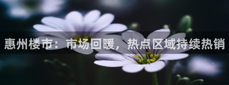新宝5为啥开：惠州楼市：市场回暖，热点区域持续热销