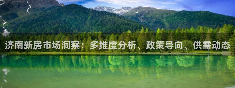 新宝5网站：济南新房市场洞察：多维度分析、政策导向、供需动态