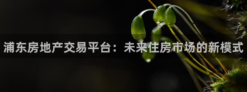 新宝5电脑：浦东房地产交易平台：未来住房市场的新模式