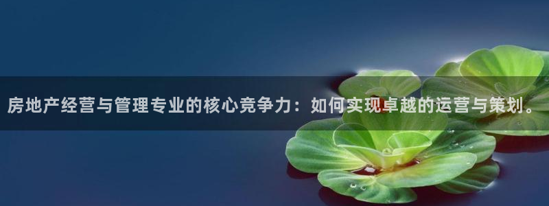 新宝5什么时候上市：房地产经营与管理专业的核心竞争力：如何实