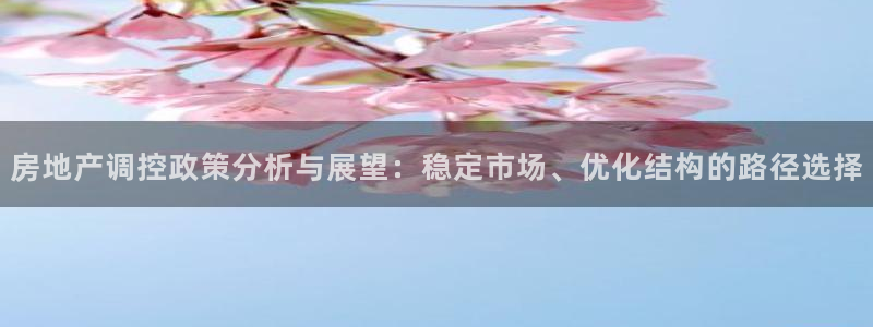 新宝5平台登录注册：房地产调控政策分析与展望：稳定市场、优化