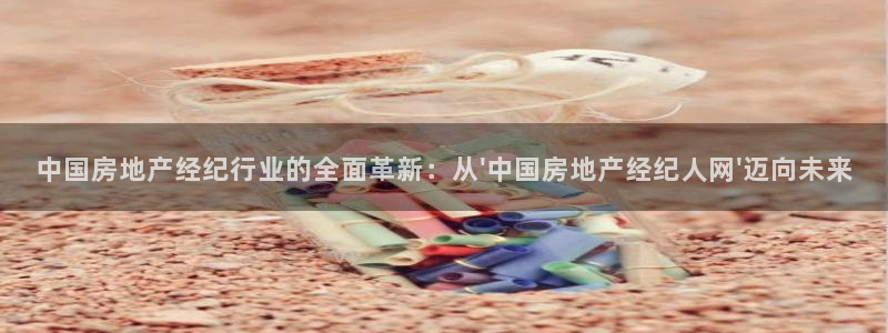 新宝5唯一：中国房地产经纪行业的全面革新：从\'中国房地产经