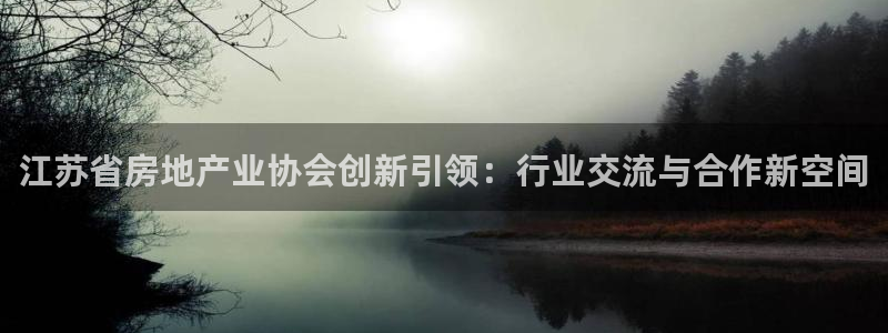 新宝5直属：江苏省房地产业协会创新引领：行业交流与合作新空间