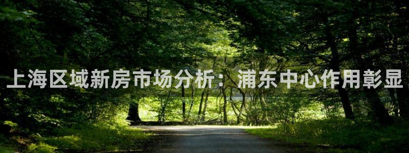 有人知道新宝5么：上海区域新房市场分析：浦东中心作用彰显